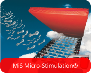 MiS Micro-Stimulation®